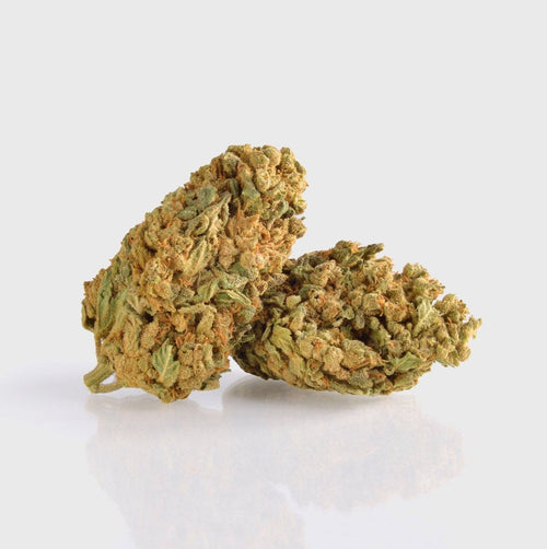 👑 🦍🥦 King Louie Superior 40% King Mix Blüten 5g - Hanfify®