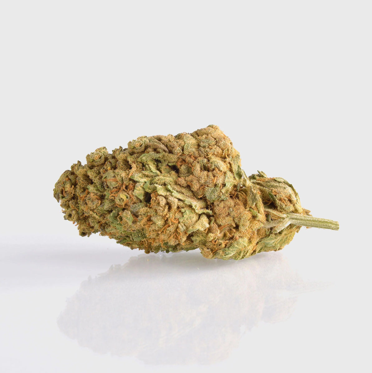 👑 🦍🥦 King Louie Superior 40% King Mix Blüten 5g - Hanfify®