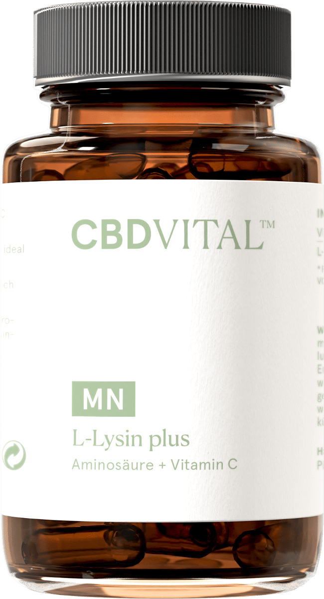 L - Lysin plus Supplements 60 Kapseln - Hanfify