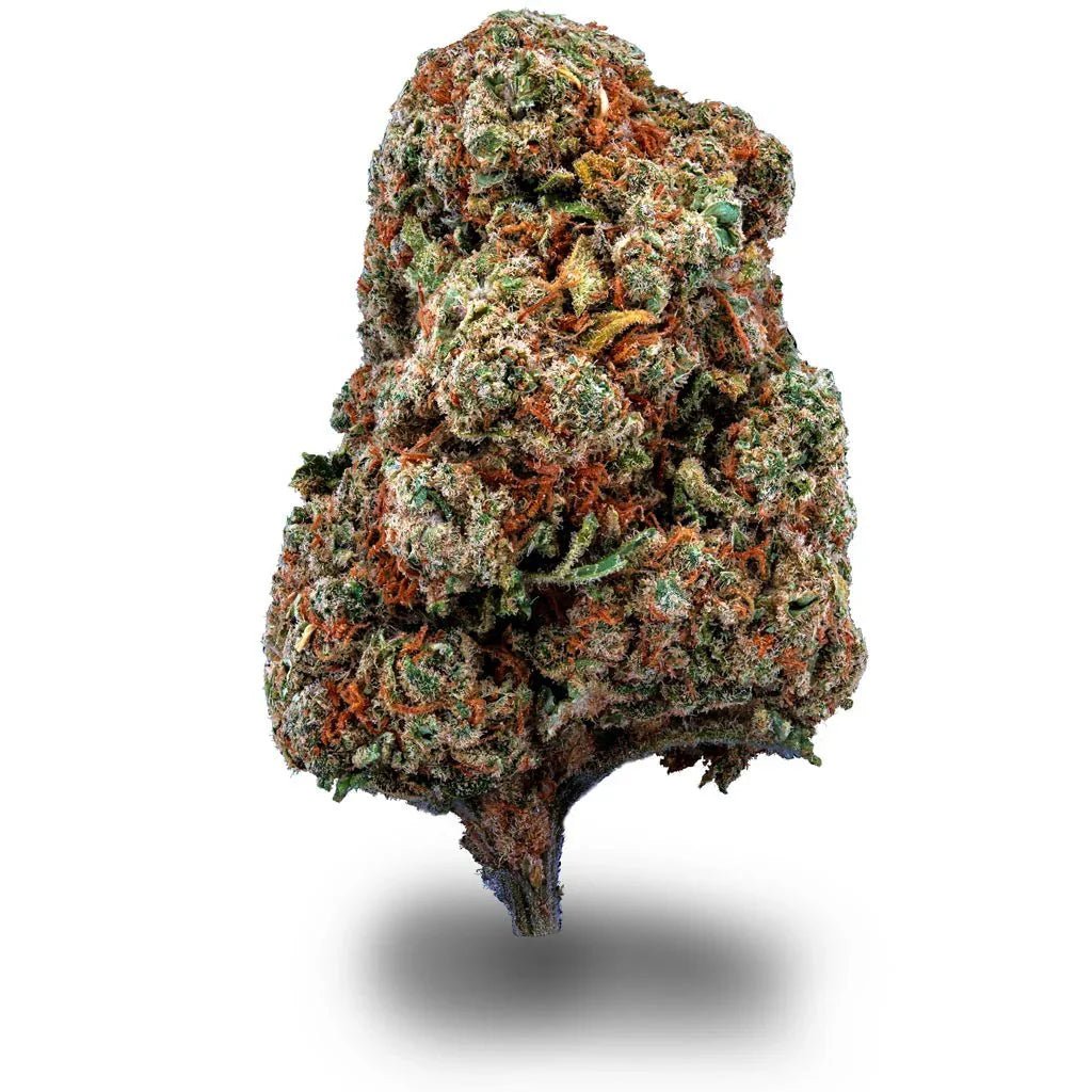 L.A. Amnesia - Blüten - Hanfify®