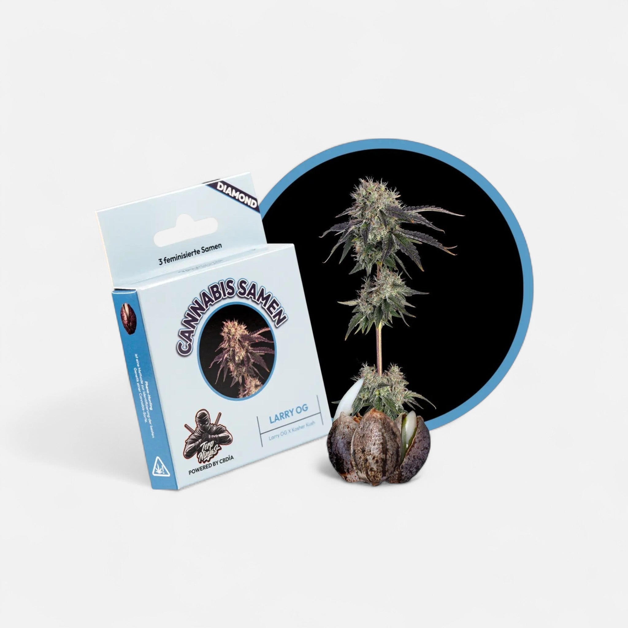 Larry OG Samen Feminisiert Cannabissamen 3 Stück - Hanfify