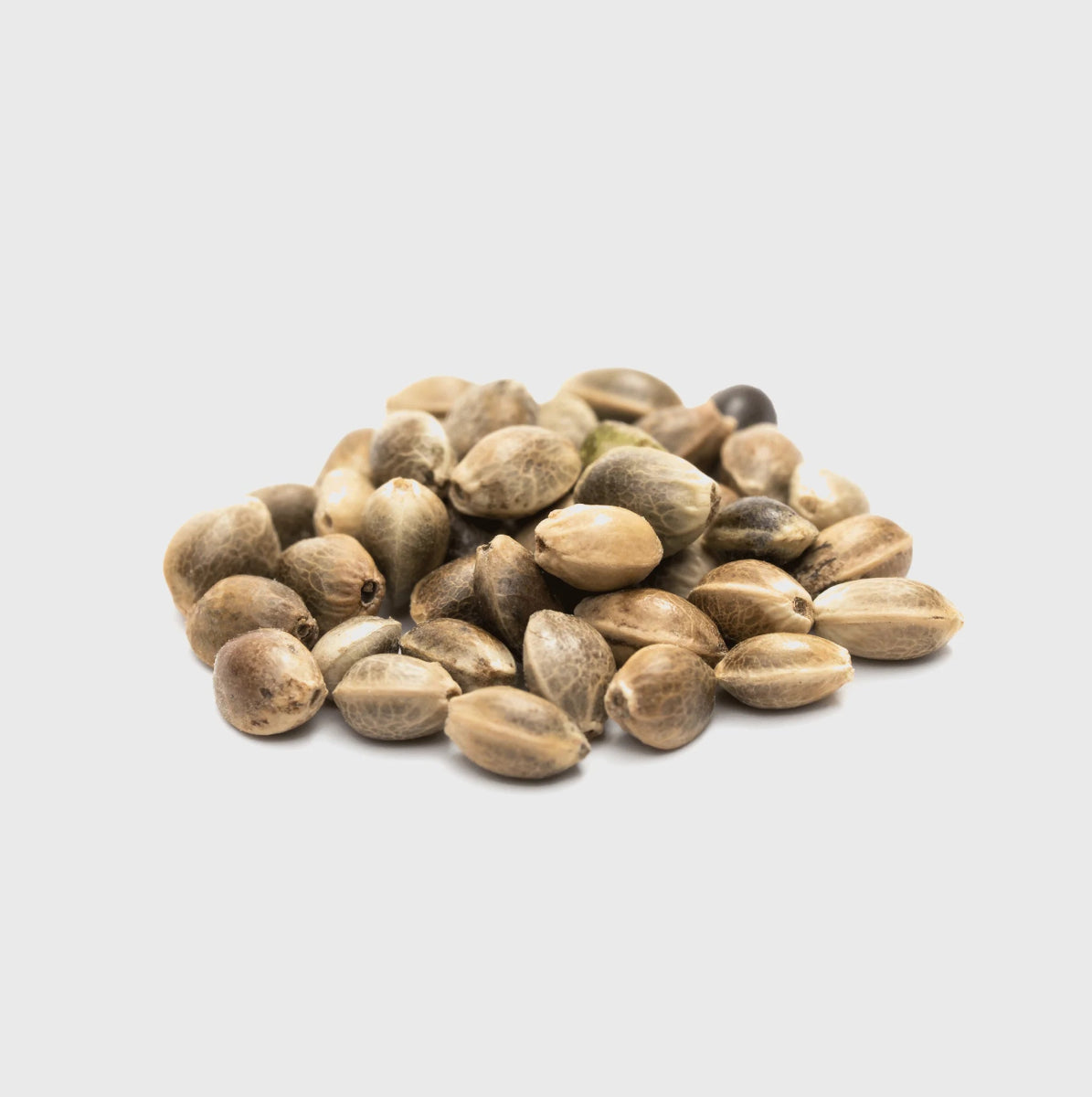 Legendary Cali Genetics Seeds Rainbow Apples 25% THC 🌱 full season Cannabissamen 3 Stück - Hanfify®