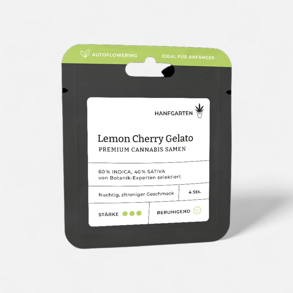 Lemon Cherry Gelato | Autoflowering - Cannabissamen - Hanfify®