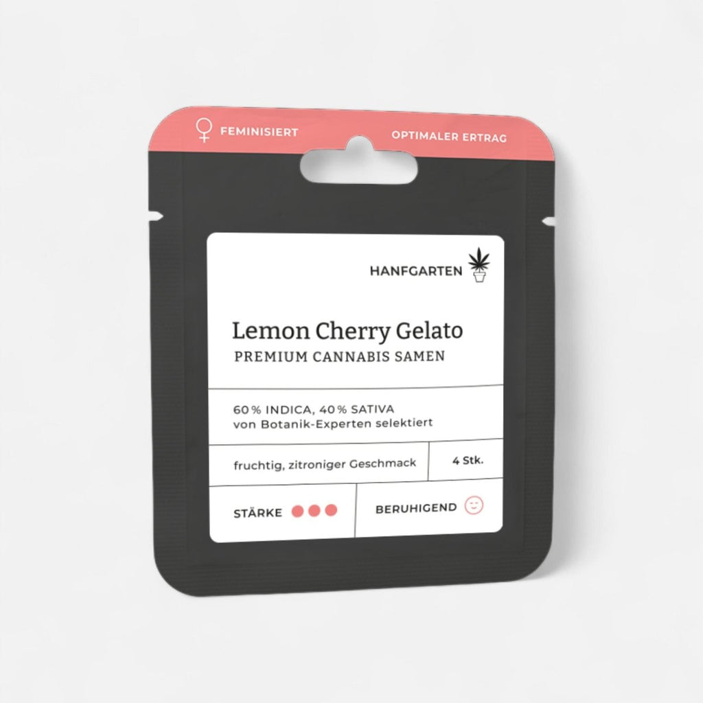 Lemon Cherry Gelato | Feminisiert Cannabissamen - Hanfify