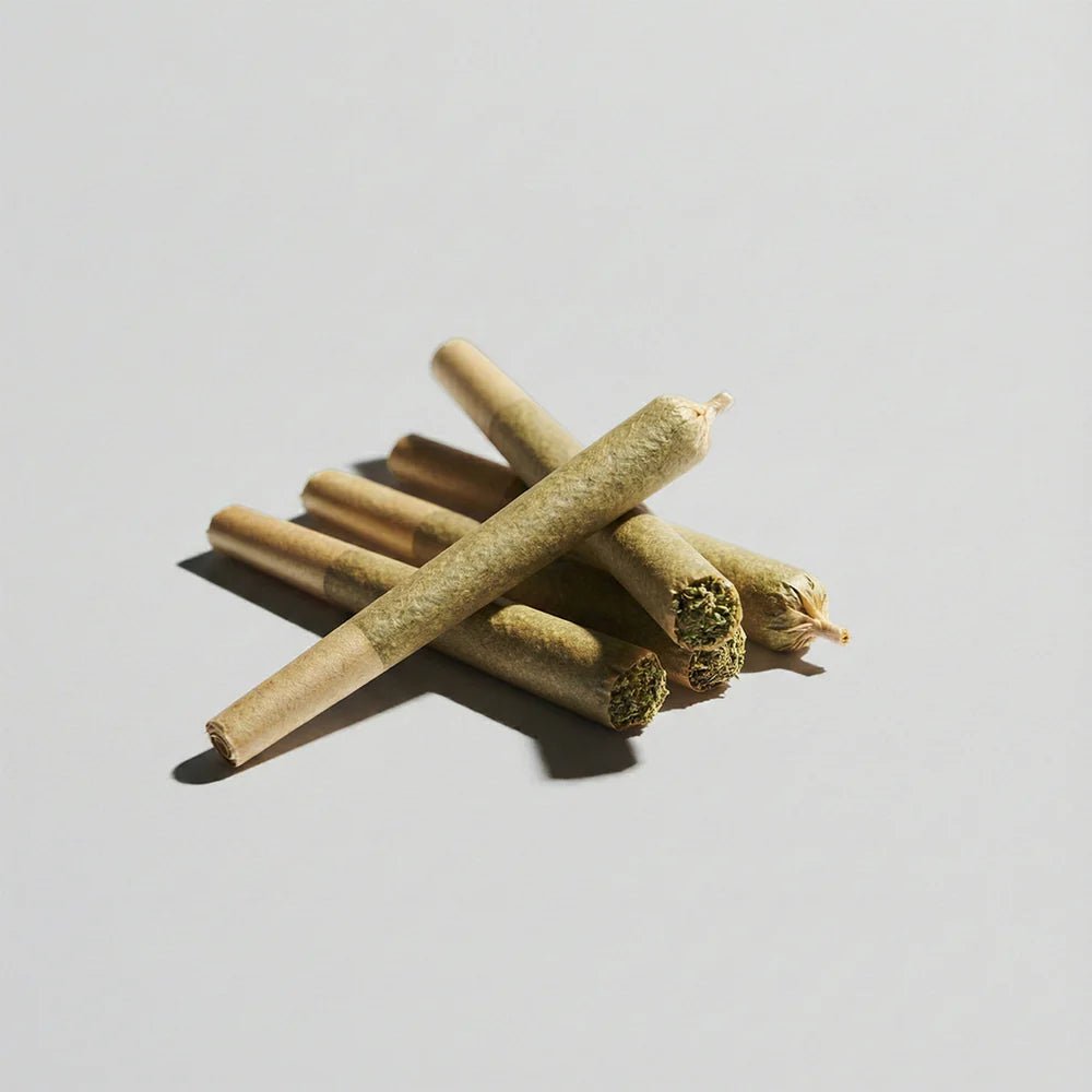 Lemon Cherry Gelato Joints 40% Superior Joints 5 Stück - Hanfify