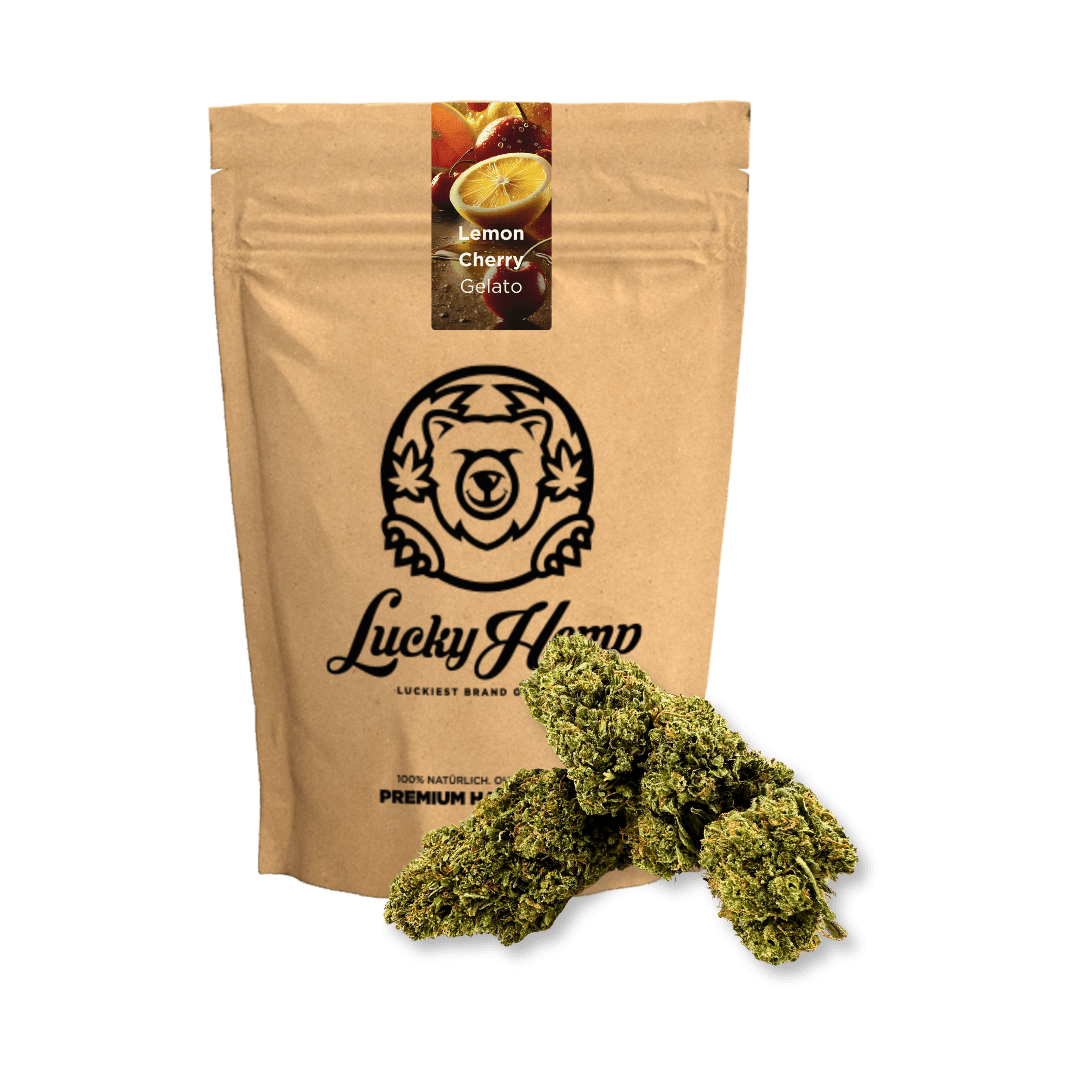 Lemon Cherry Gelato Ökopack - Blüten - Hanfify®