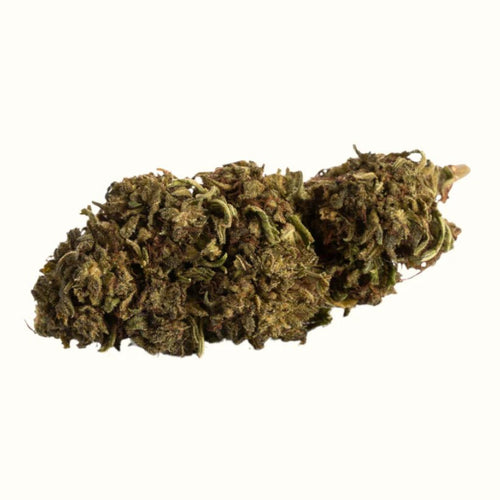 LEMON COOKIES x 10 % Blüten 3G - Hanfify