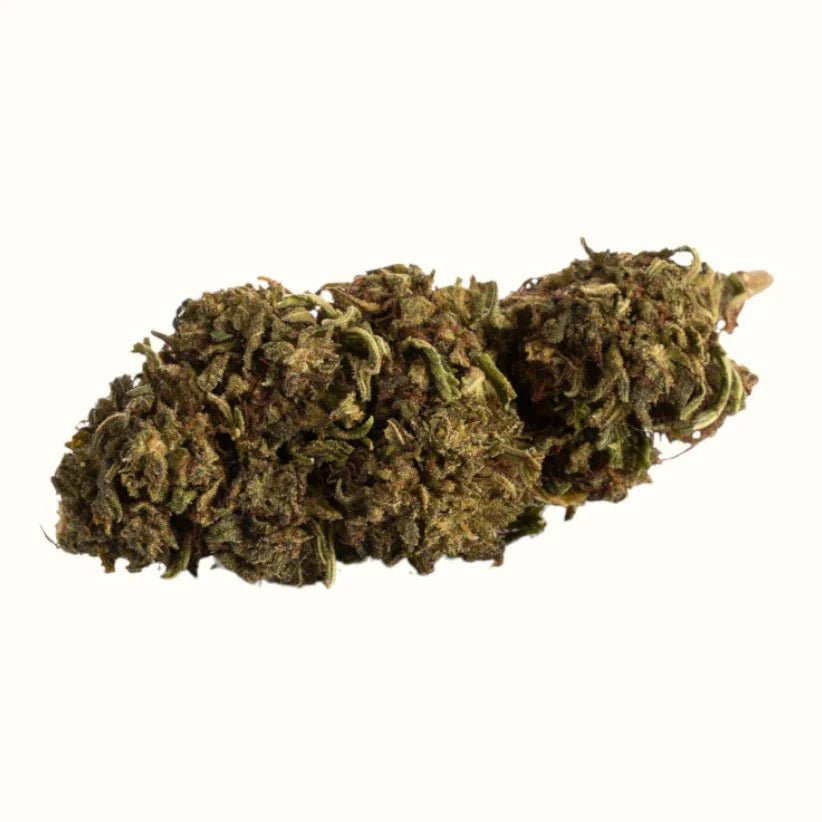LEMON COOKIES x 10 % - Blüten - Hanfify®