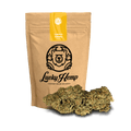 Lemon Gelato Ökopack - Blüten - Hanfify®