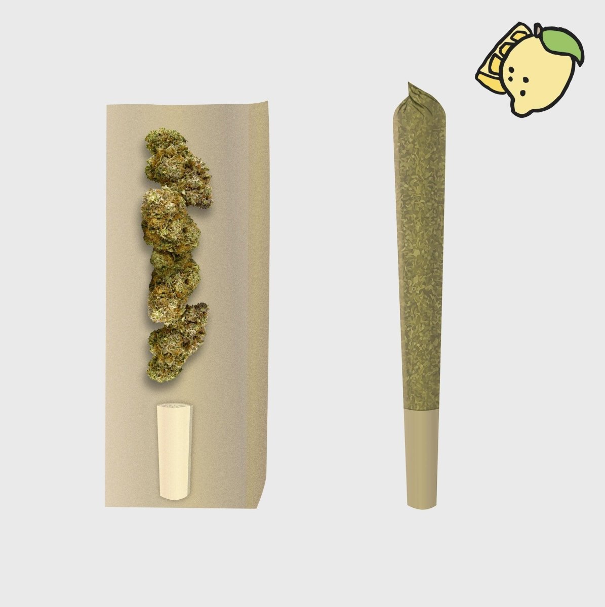 🍋 👑 Lemon Haze 12% CBD Prerolls Joints 3er Pack - Hanfify®