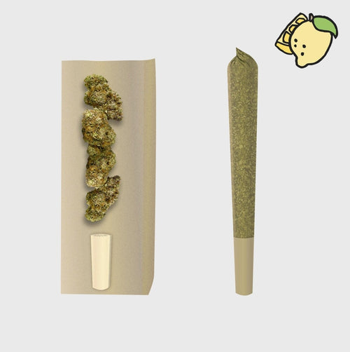 🍋 👑 Lemon Haze 12% CBD Prerolls Joints 3er Pack - Hanfify®