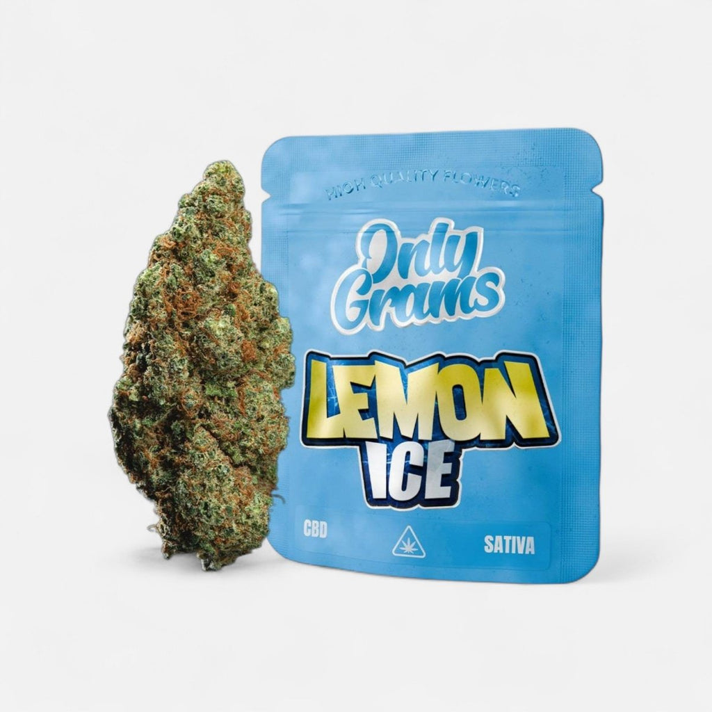 Lemon Ice - CBD Blüte 18% Blüten - Hanfify