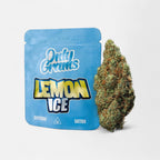 Lemon Ice - Superior Blüte 40% Blüten - Hanfify