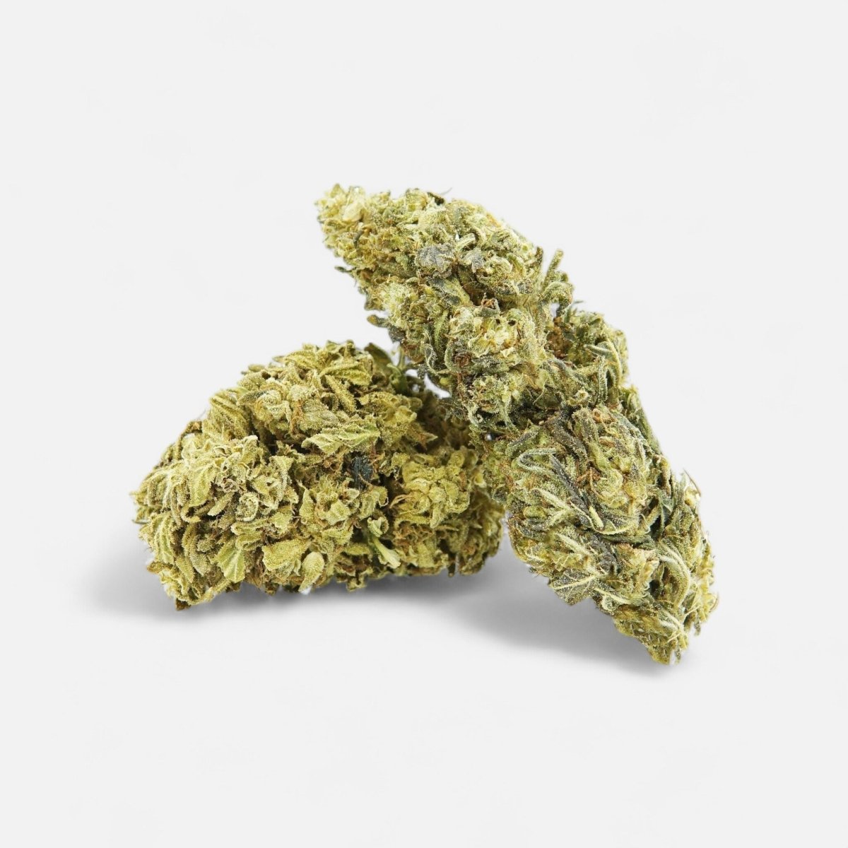 🍋 Lemon King - Power LVL 5/5 Blüten 5g - Hanfify