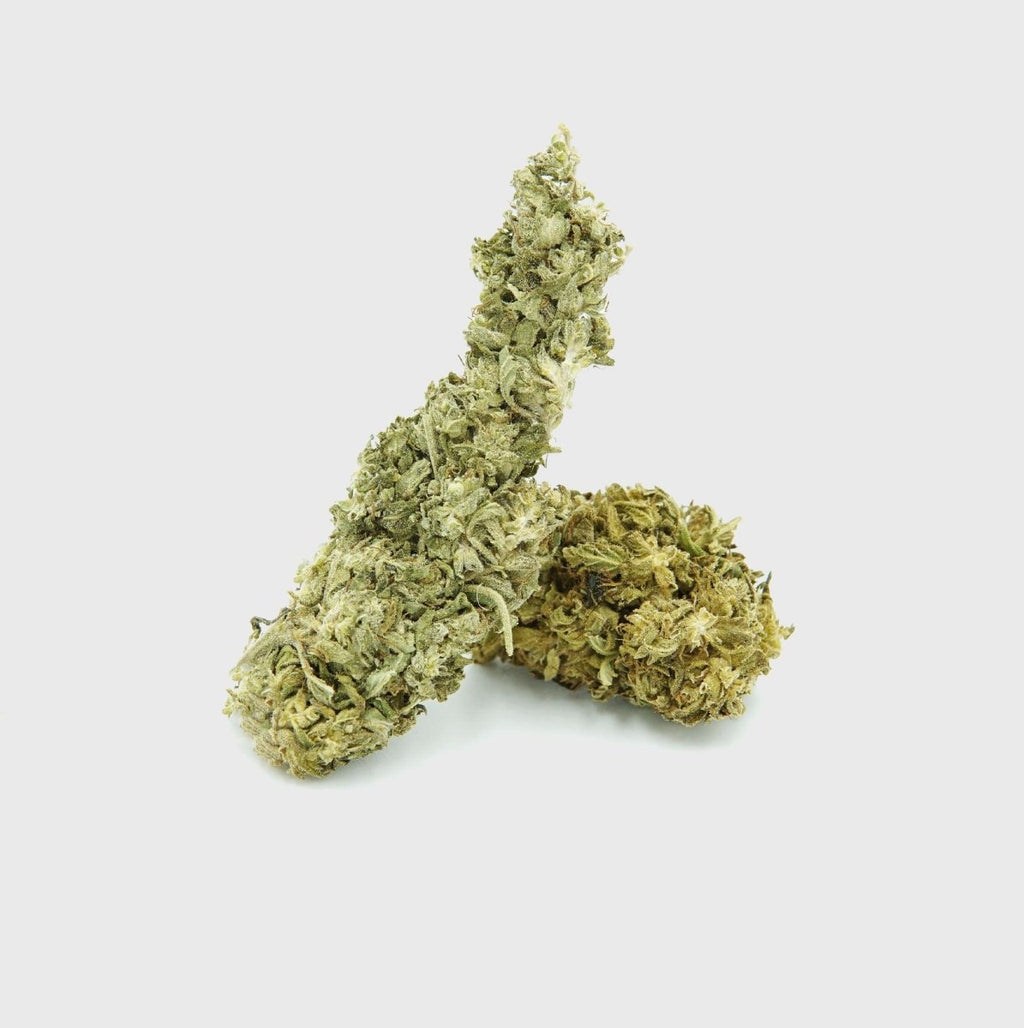 🍋 Lemon King - Power LVL 5/5 Blüten 5g - Hanfify®