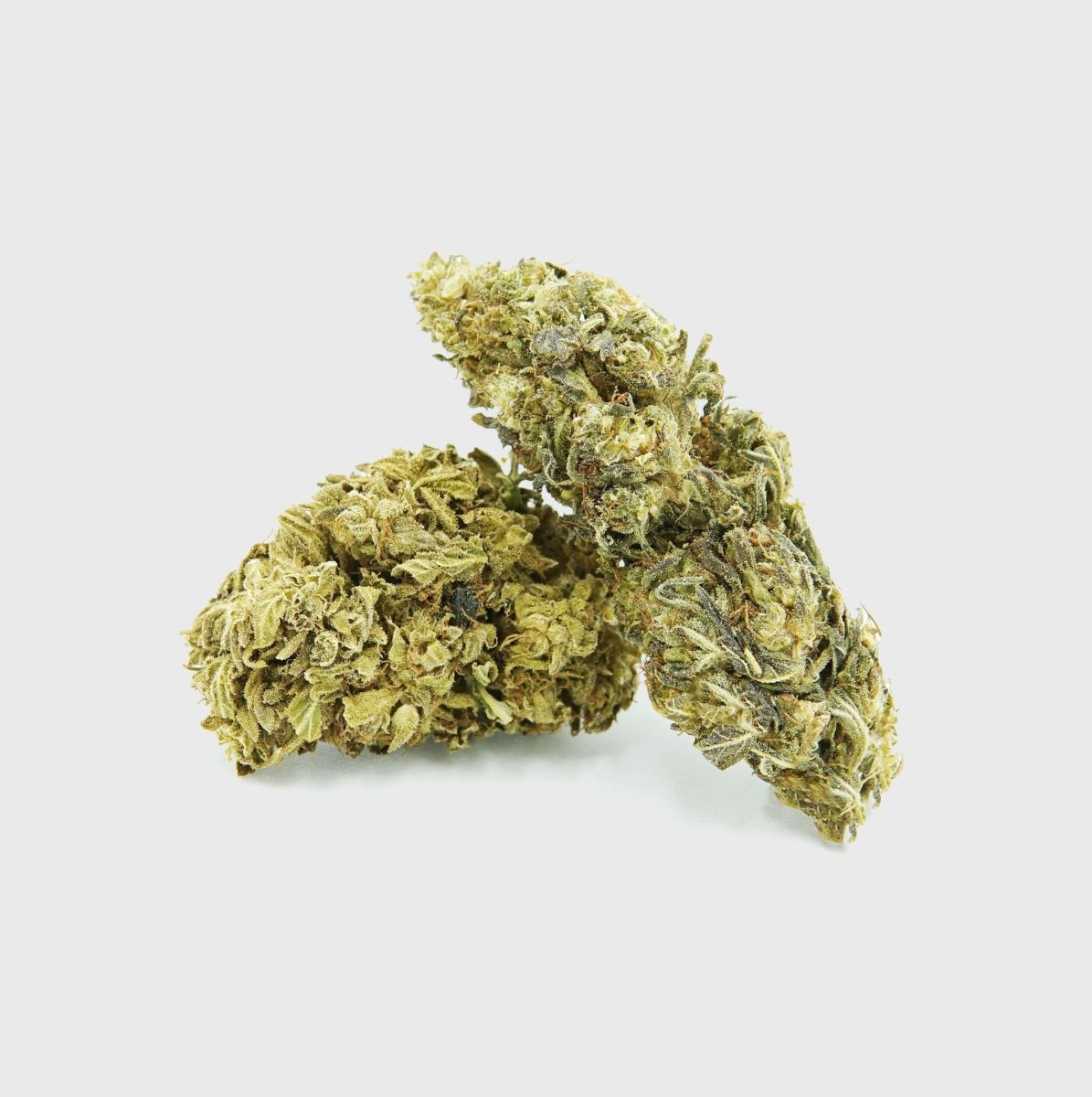 🍋 Lemon King - Power LVL 5/5 Blüten 5g - Hanfify®