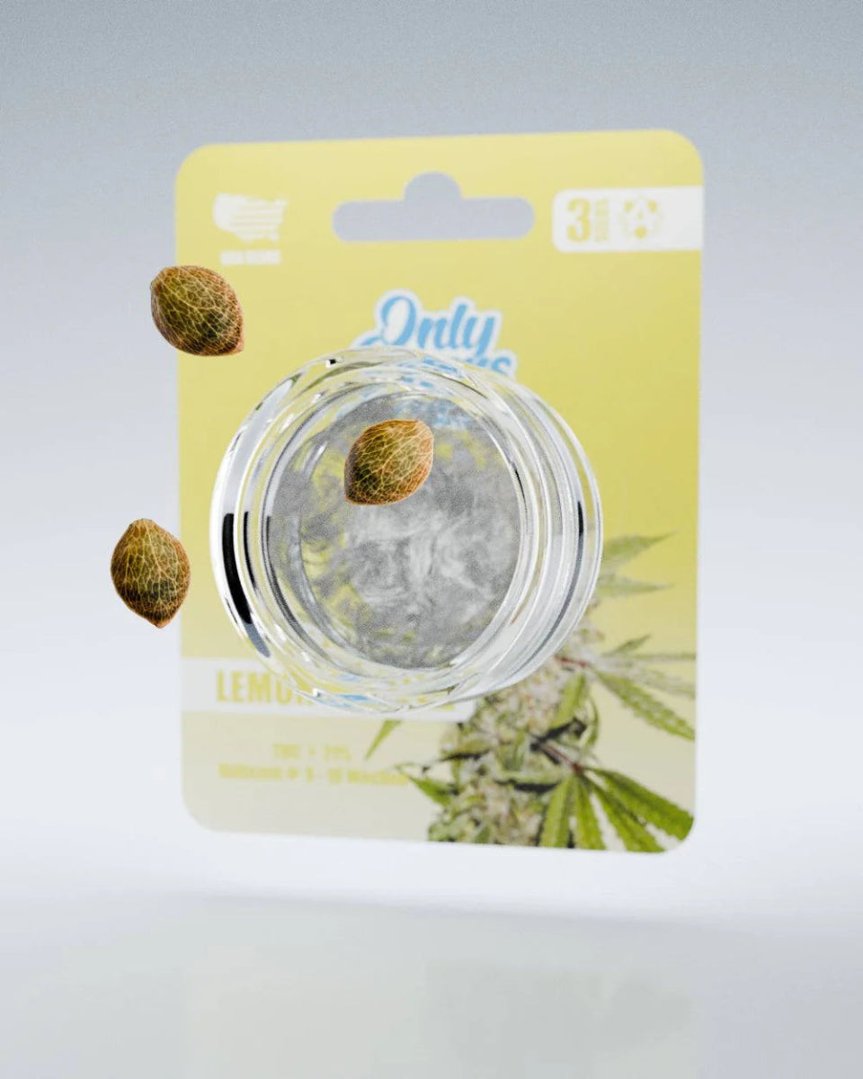 Lemon Zkittlez THC - Seeds Cannabissamen - Hanfify