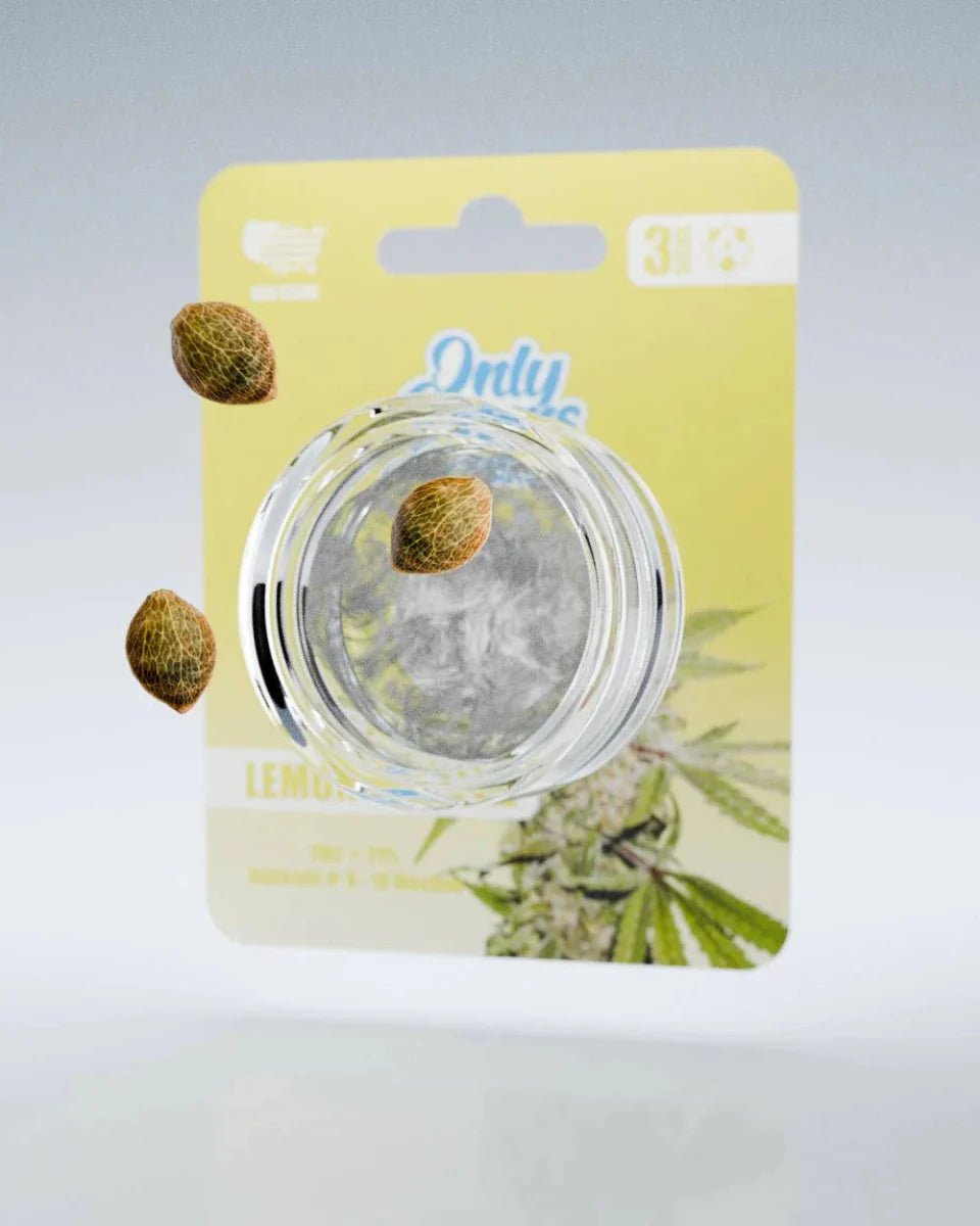 Lemon Zkittlez THC-Seeds - Cannabissamen - Hanfify®
