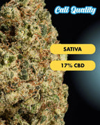 Lemontos - CBD Blüte 17% Blüten - Hanfify