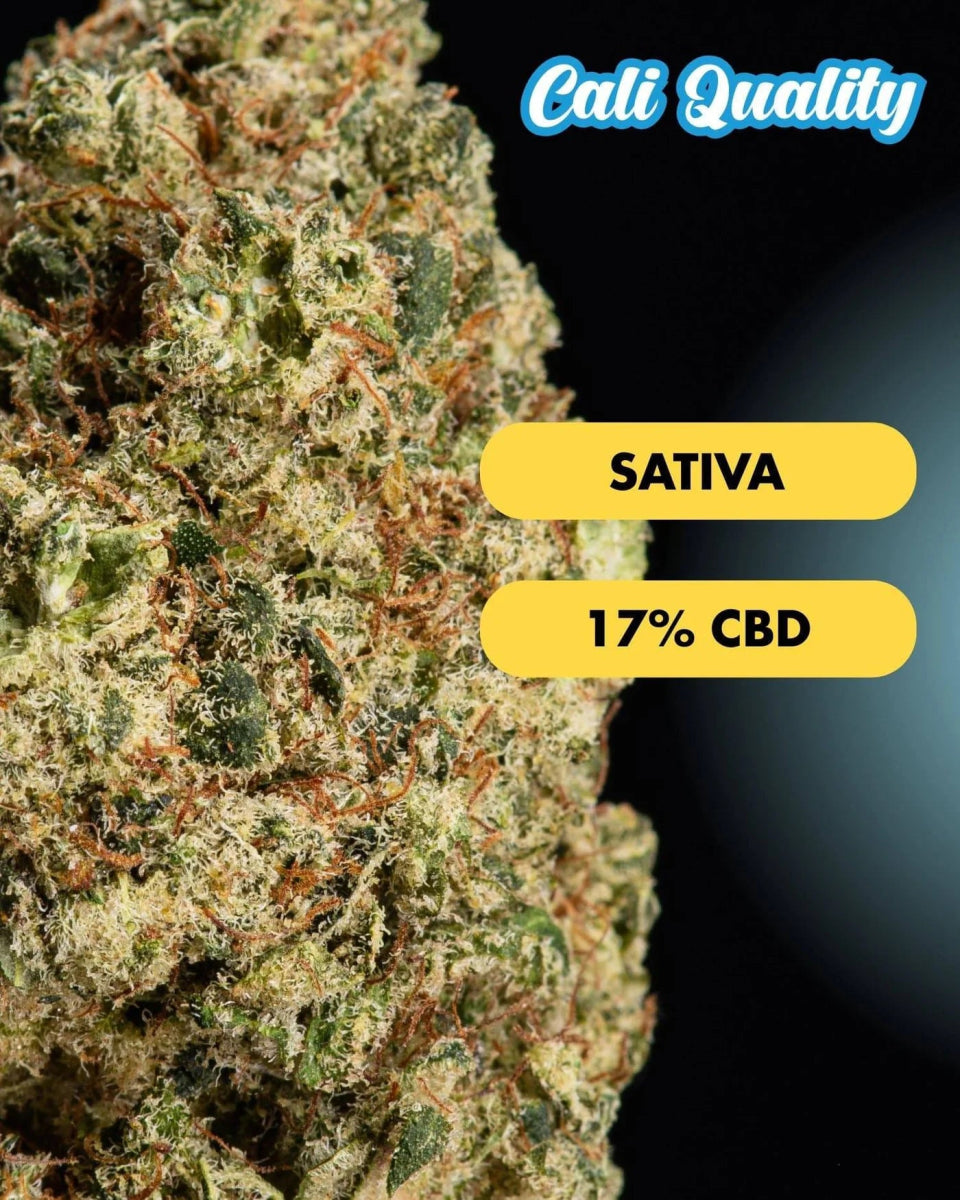 Lemontos - CBD Blüte 17% Blüten - Hanfify