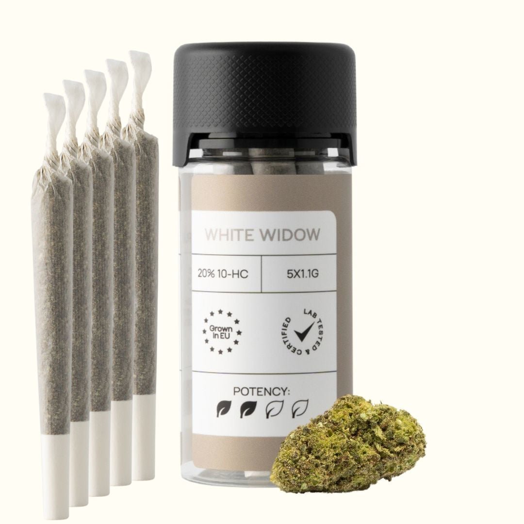 LIGHT JOINTS (20% 10 - HC) | BLÜTE: WHITE WIDOW Joints 3 STK. - Hanfify