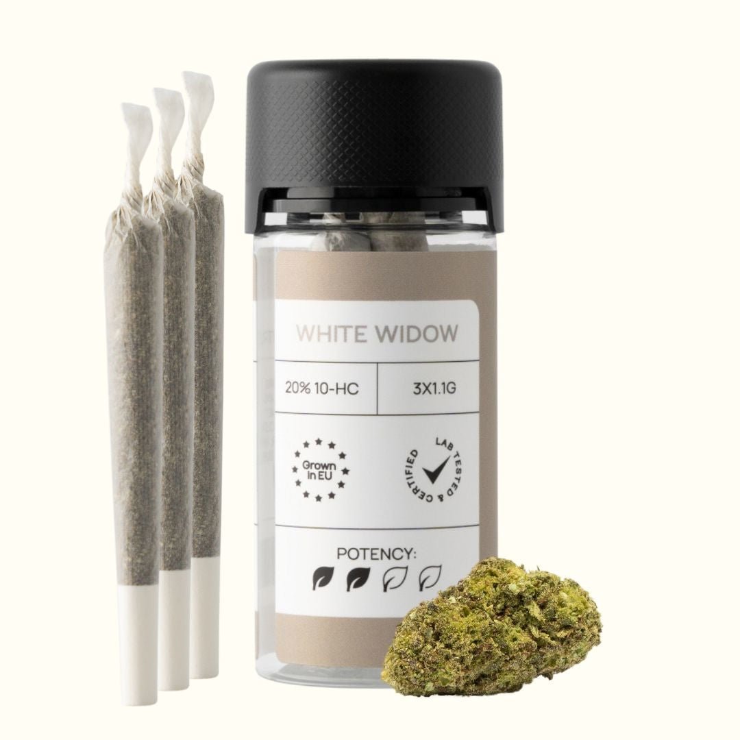 LIGHT JOINTS (20% 10 - HC) | BLÜTE: WHITE WIDOW Joints 3 STK. - Hanfify