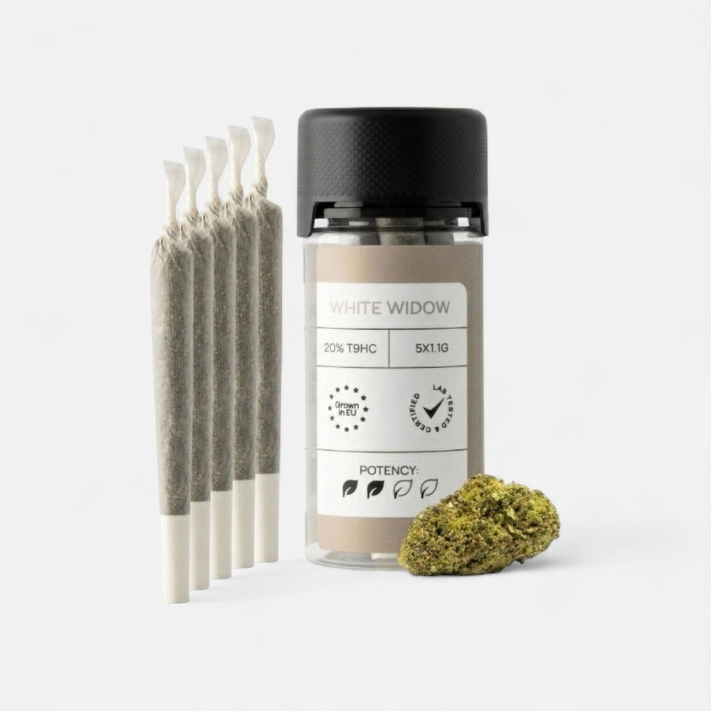 LIGHT JOINTS WHITE WIDOW Joints 5 Stück - Hanfify