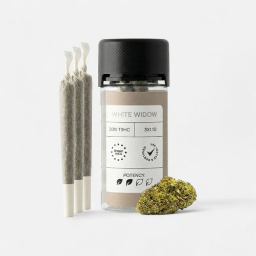 LIGHT JOINTS WHITE WIDOW - Joints - Hanfify®
