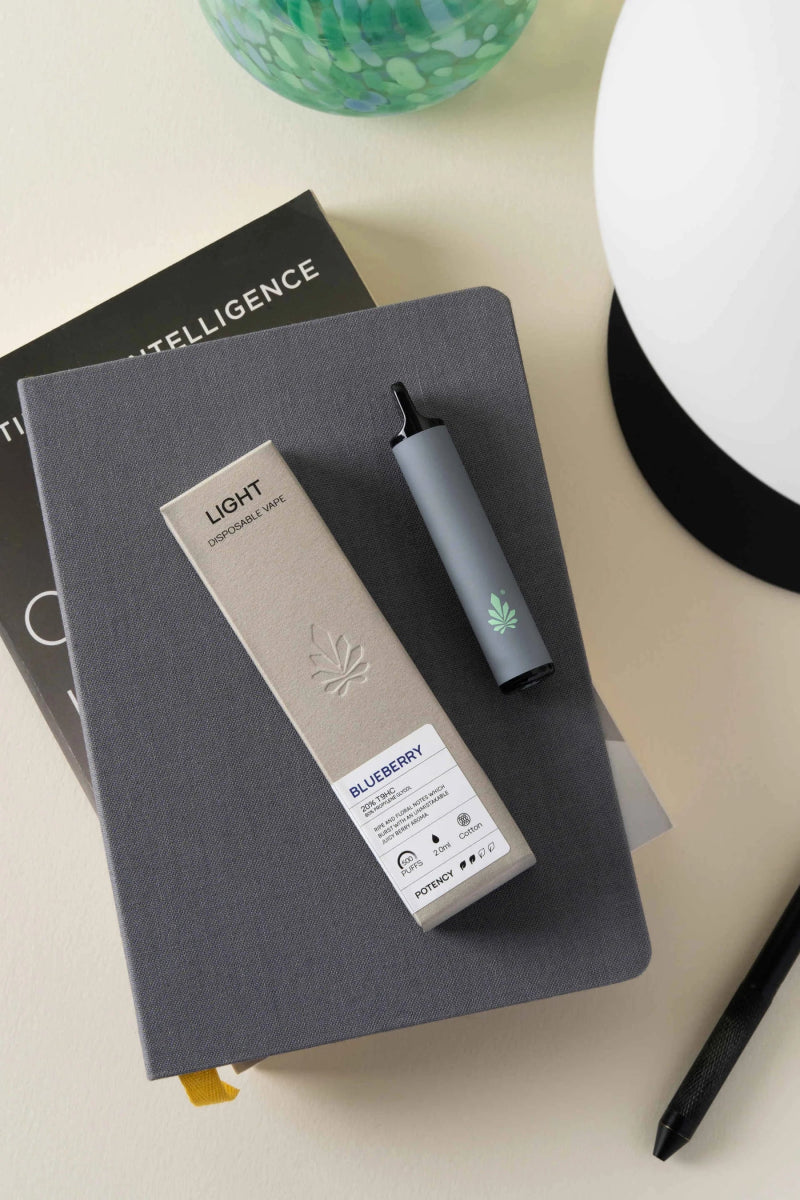 LIGHT Vape Vapes 🫐 Blaubeere - Hanfify