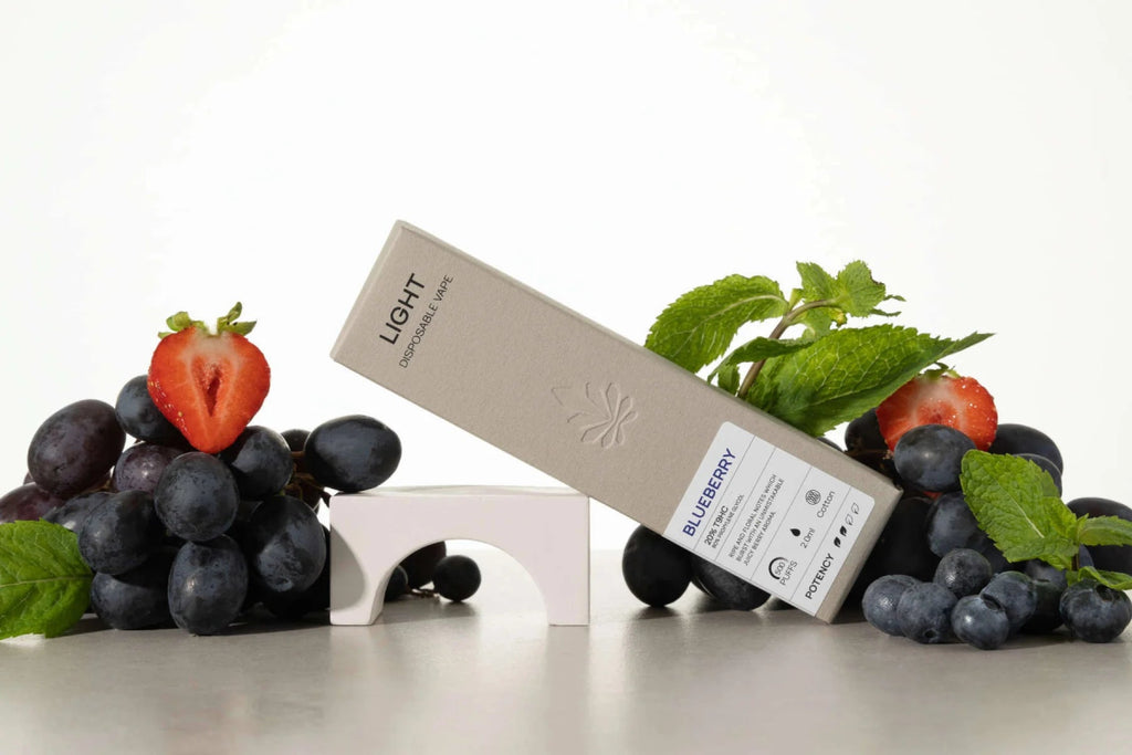 LIGHT Vape Vapes 🫐 Blaubeere - Hanfify