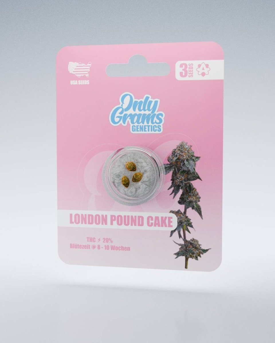 London Pound Cake THC - Seeds Cannabissamen - Hanfify