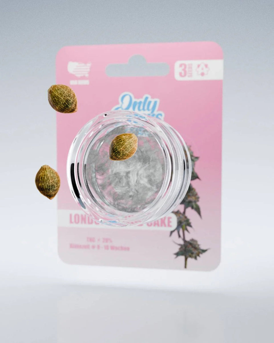London Pound Cake THC - Seeds Cannabissamen - Hanfify