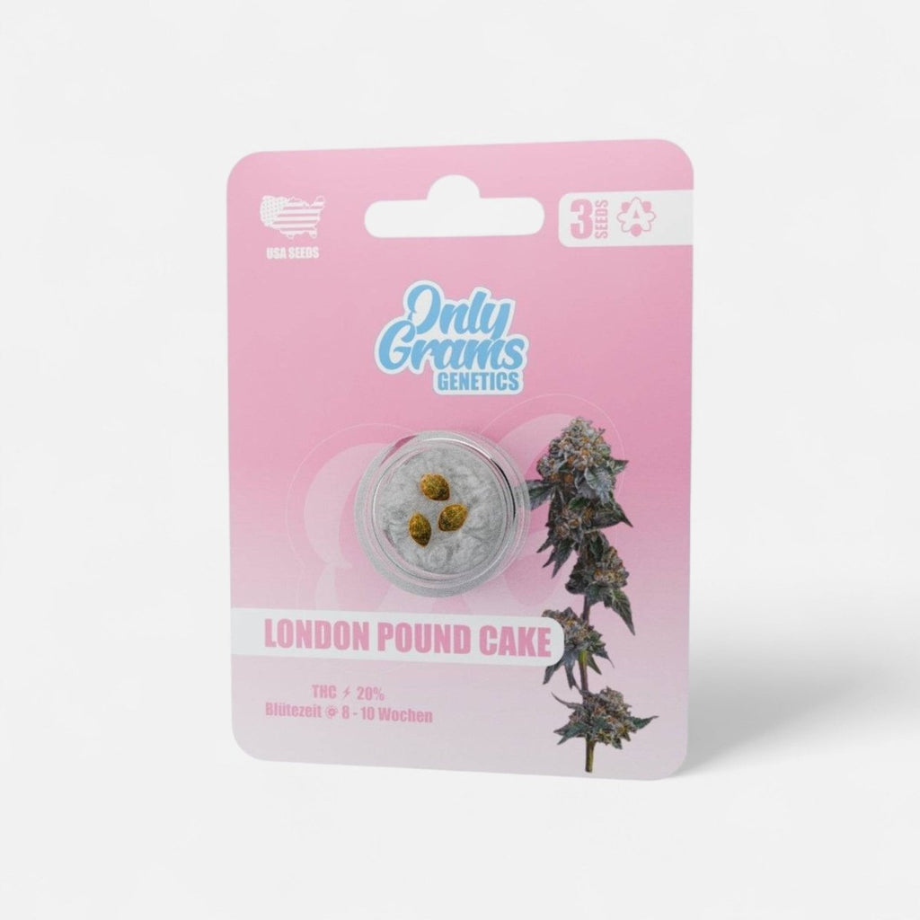 London Pound Cake THC-Seeds - Cannabissamen - Hanfify®