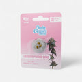 London Pound Cake THC-Seeds - Cannabissamen - Hanfify®
