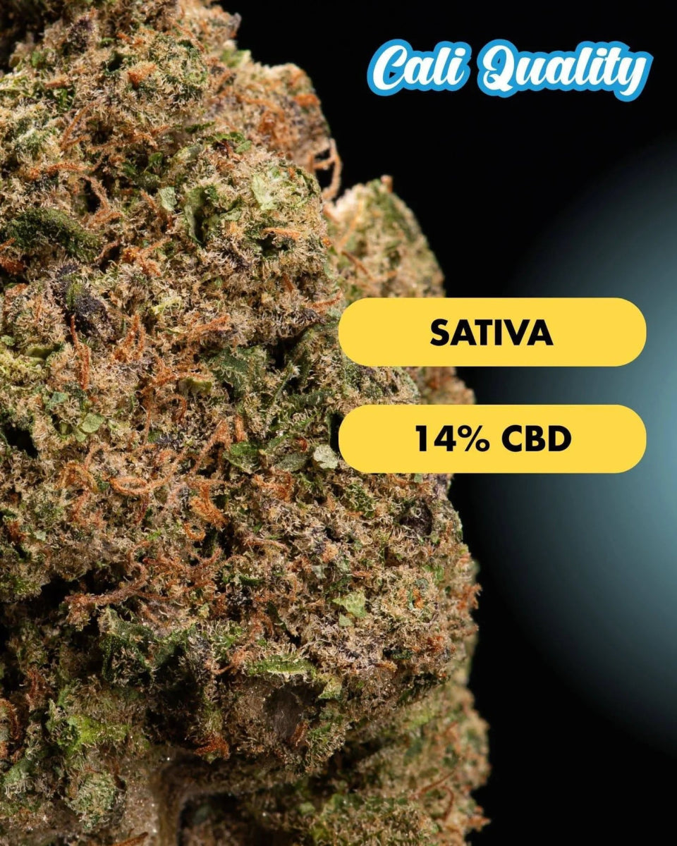 Lucid Dreams - CBD Blüte 14% Blüten - Hanfify