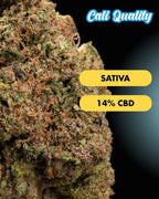 Lucid Dreams - CBD Blüte 14% Blüten - Hanfify