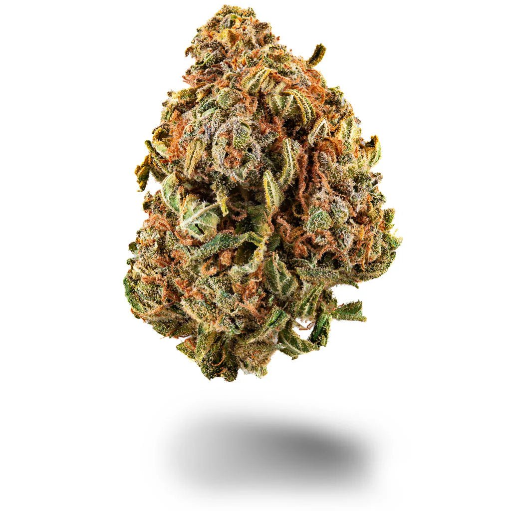 Lucky Dude Blüten 2,5g - Hanfify