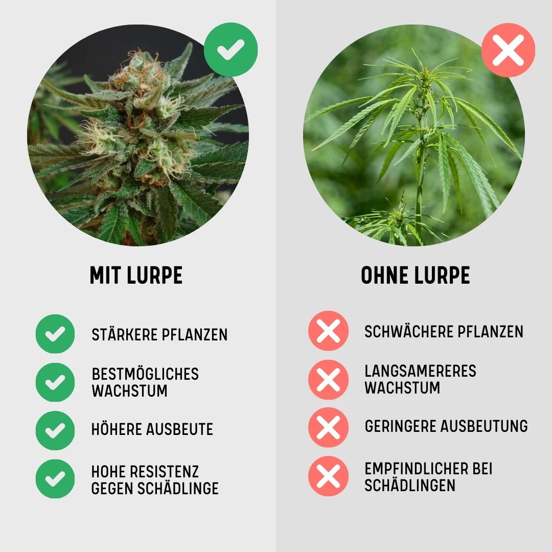 Lurpe Living Soil Set Growshop - Hanfify®
