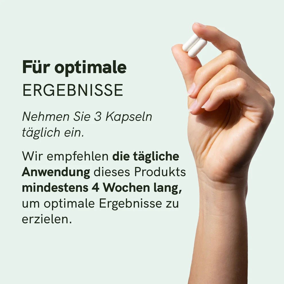 Magnesium Komplex Supplements - Hanfify