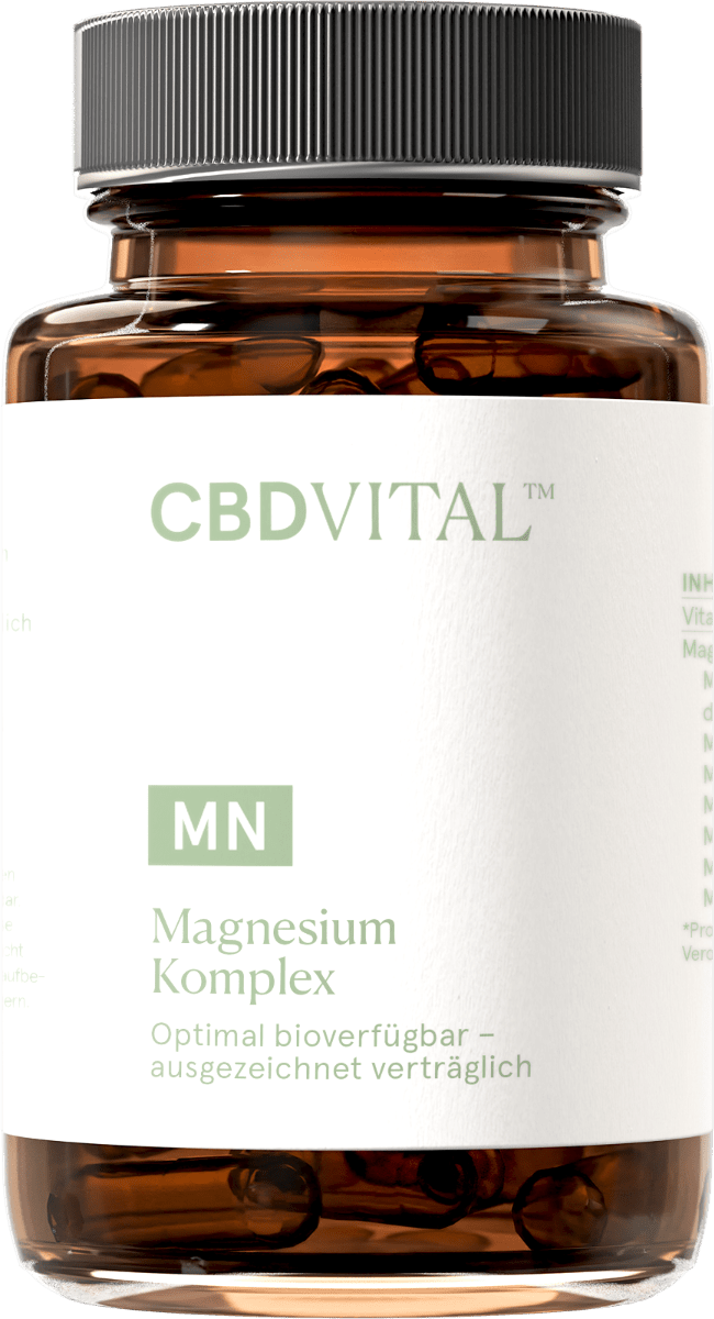 Magnesium Komplex Supplements 60 Kapseln - Hanfify