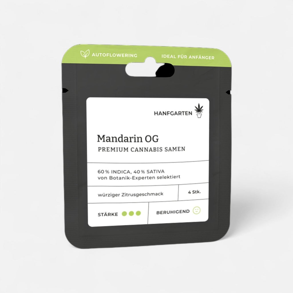 Mandarin OG | Autoflowering - Cannabissamen - Hanfify®