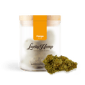 Mango CBG - Blüten - Hanfify®