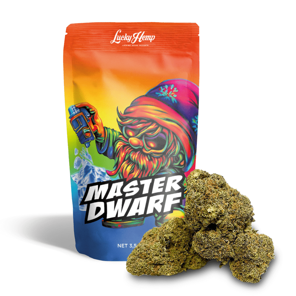 Master Dwarf Cali Pack Blüten 3,5g - Hanfify®