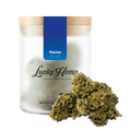 Master Kush - Blüten - Hanfify®