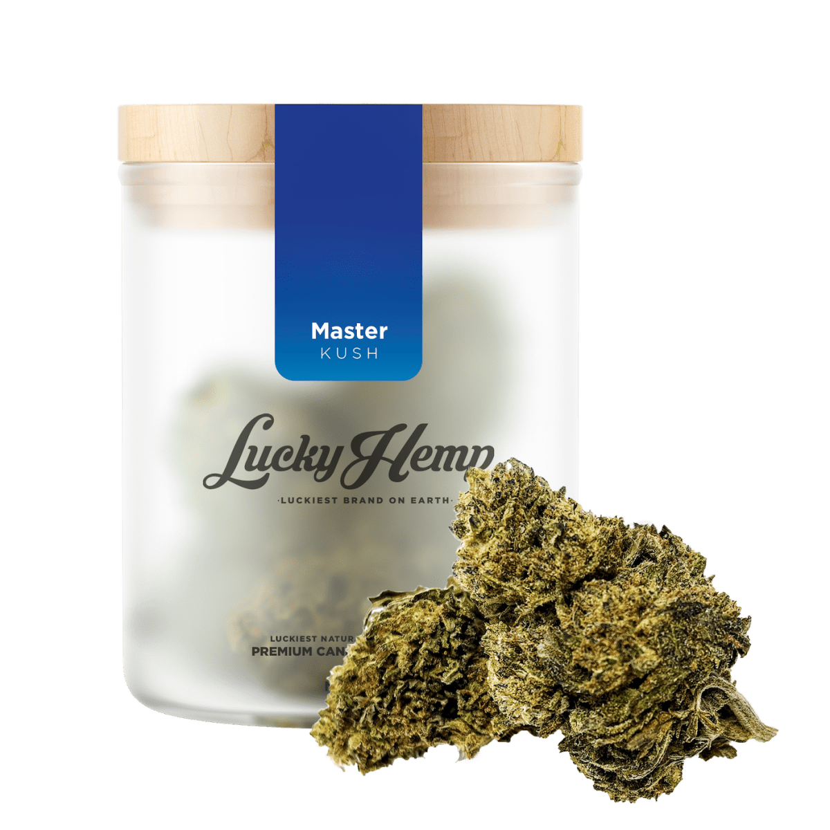Master Kush - Blüten - Hanfify®