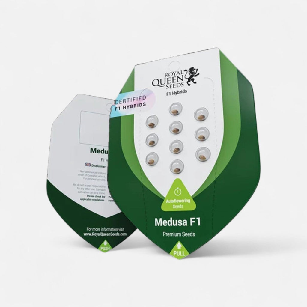 Medusa F1 | Autoflowering Cannabissamen - Hanfify