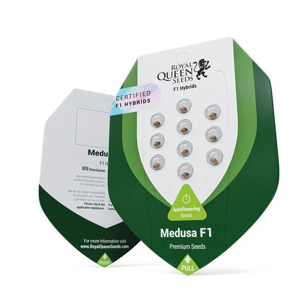Medusa F1 | Autoflowering Cannabissamen - Hanfify