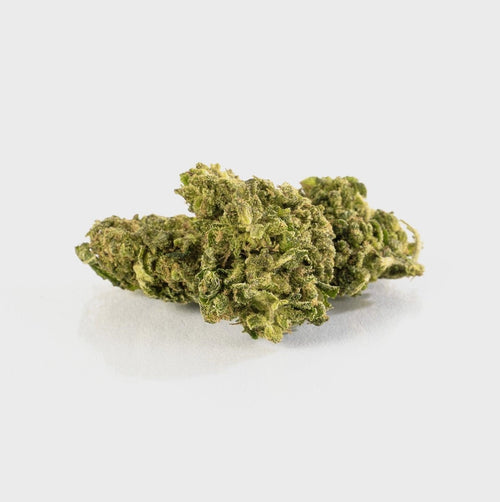 🍉 Melon Kush - POWER LVL: 4/5 Blüten 5g - Hanfify®