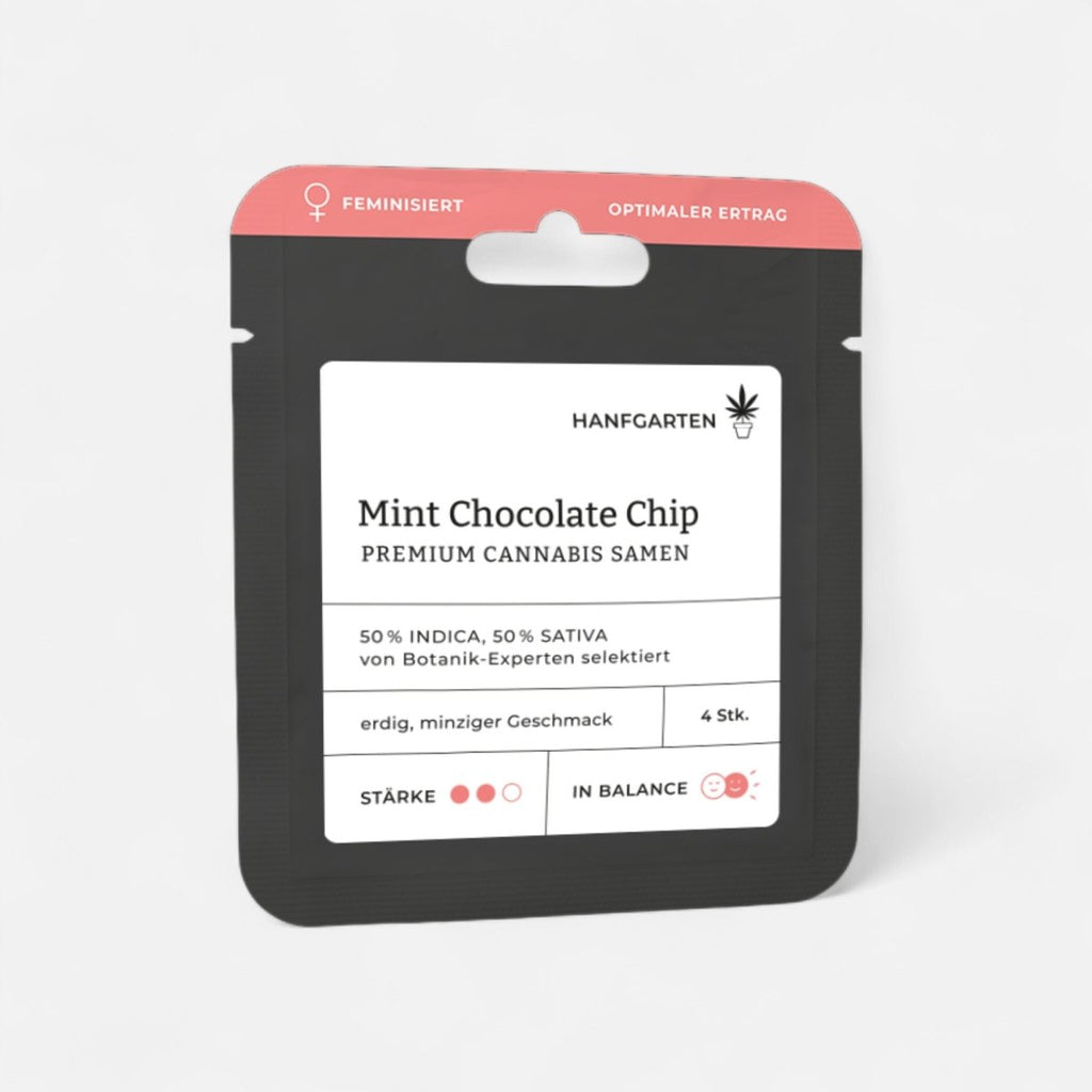 Mint Chocolate Chip | Feminisiert Cannabissamen - Hanfify