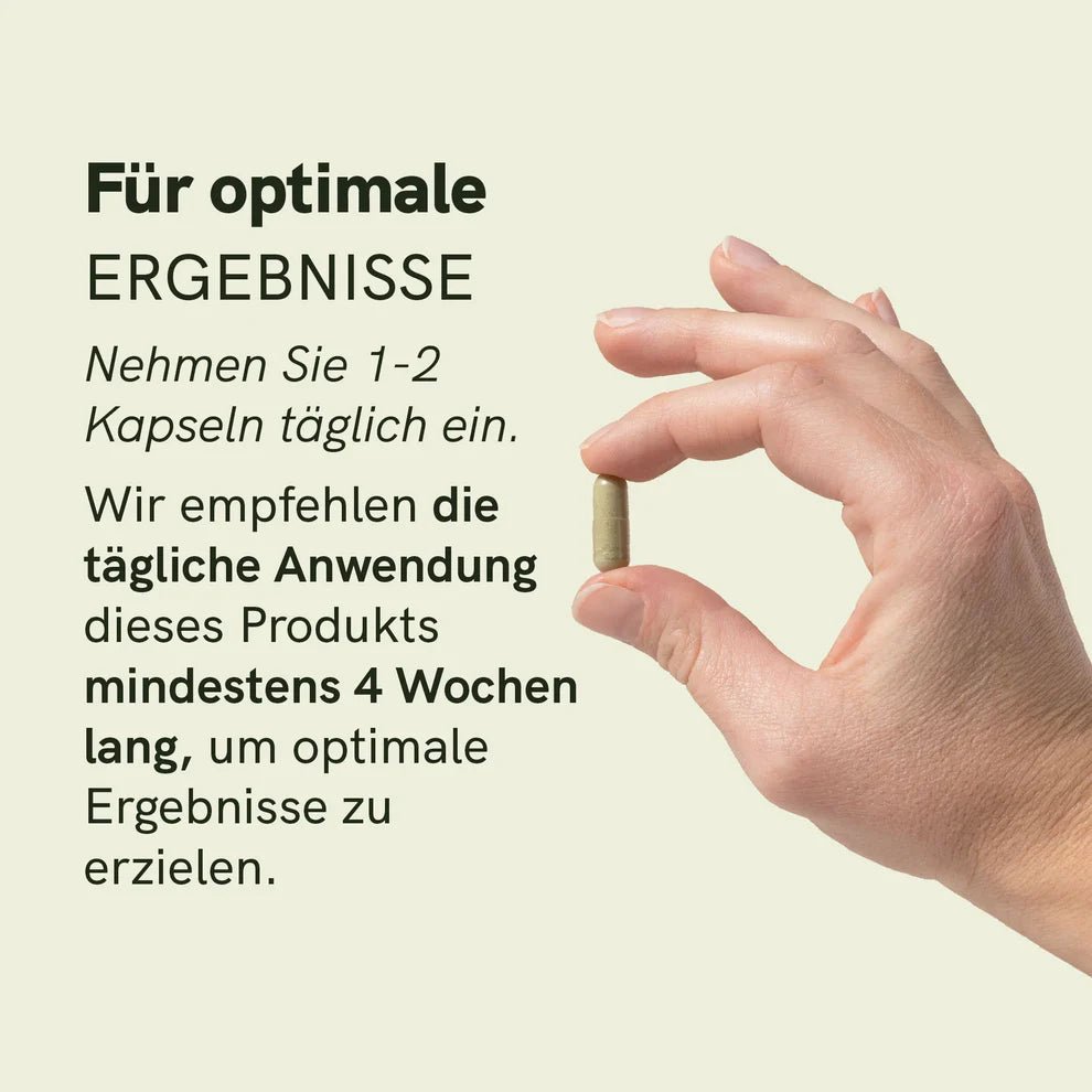 Moringa - Pulver - Kapseln Supplements - Hanfify